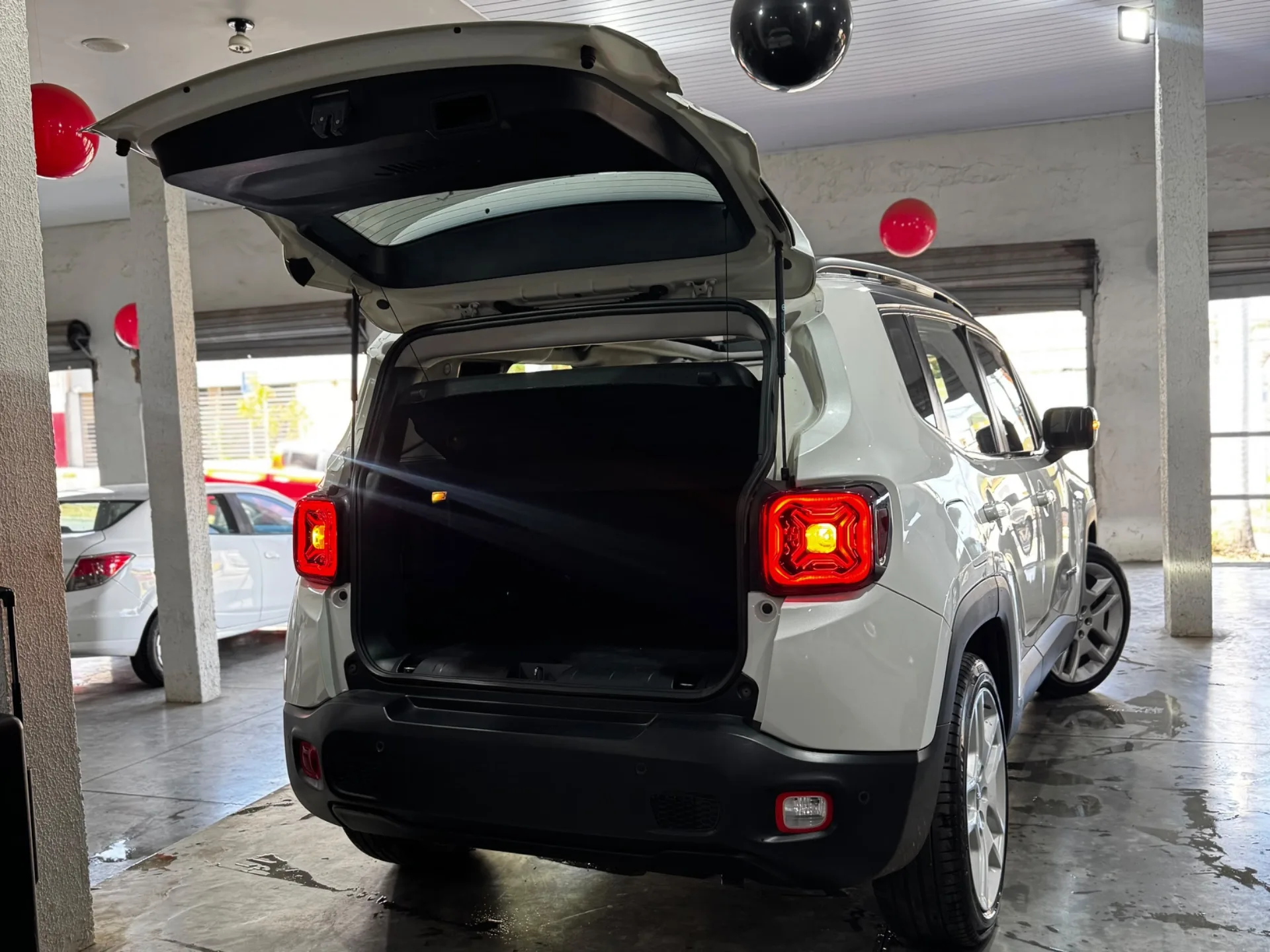 RENEGADE LIMITED  foto 10